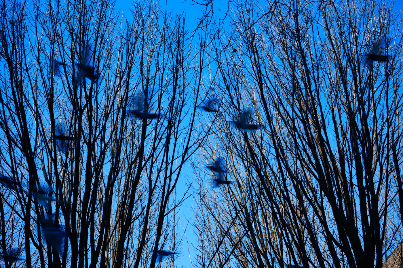Photograph by Owen Correll